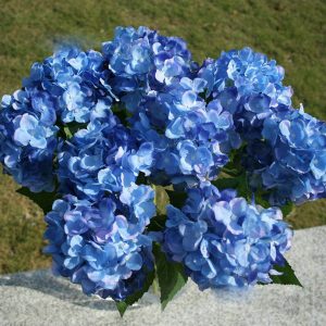 hortênsias