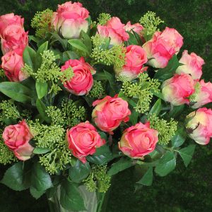 rosas cor de rosa