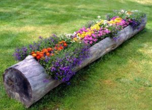 tronco de árvore para flores