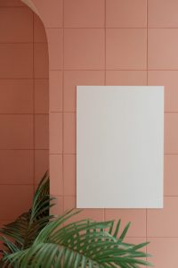pexels-monstera-6373663-683x1024
