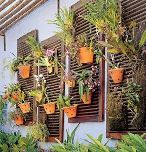22-orquidário-simples-e-barato