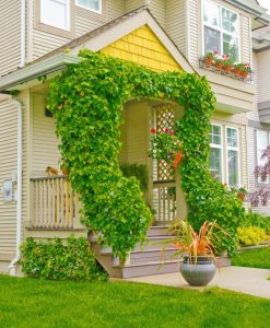 Fachada de casa simples com plantas
