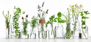 Como fazer arranjos com garrafas de vidro para ter uma decoração elegante e barata