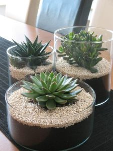 13-vaso-de-vidro-com-pedras-e-suculenta