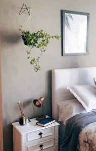 plantas-para-quarto-respiracao-2175e4b274a0d2767244-FOnte-Pinterest
