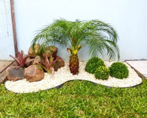 jardim simples