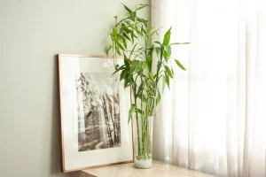 13-bambu-da-sorte-decoracao-quadro-the-spruce-leticia-almeida
