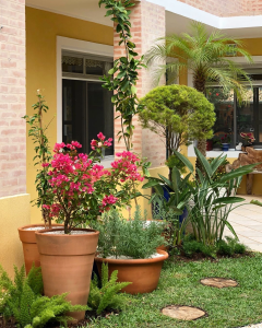 cantinho verde em jardim