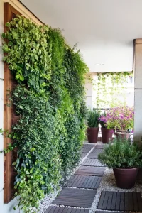 corredor-com-jardim-vertical-e-plantas-no-chao-cj794151