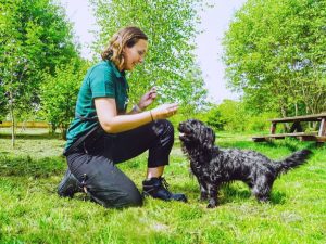 mulher treinando cachorro em jardim