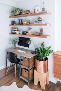 zamioculca em home office