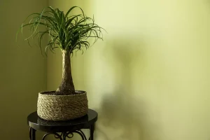 AdobeStock_438839859