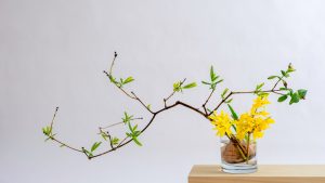 Como fazer ikebana? Aprenda o passo a passo para ter esses arranjos japoneses na decoração