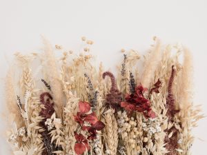 Plantas secas: veja como desidratar flores e criar composições LINDAS para a decoração da casa