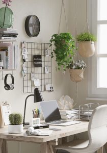 cantinho de estudo com plantas e mural