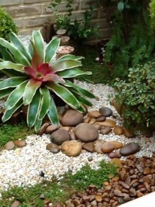 jardim pequeno com plantas e pedrinhas
