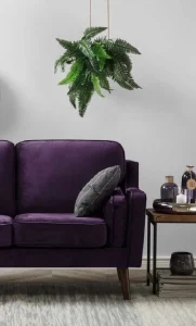 O-verde-das-plantas-traz-um-constraste-interessante-para-o-sofá-roxo.-Fonte-Pinterest