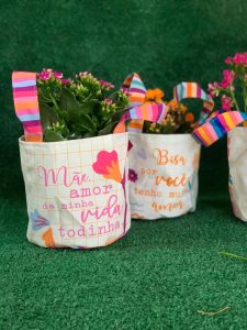plantas em cachepot para dia das mães
