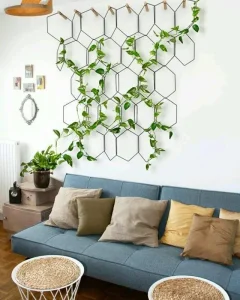 Sala-de-estar-decorada-com-plantas-aéreas-do-tipo-trepadeira-Foto-Patrícia-Bertonlino