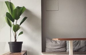 vaso-plástico-com-planta-em-cenário-de-parede-cinza-pexels-c-a3225-
