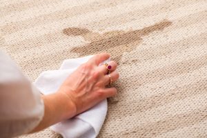 how-to-remove-carpet-stains-01-5664565-fb3476ff33bf4a7382020ab640d06258
