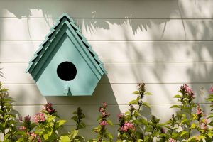 birdhouses-background--614492376-80292bac81584db8b317186c1b687619