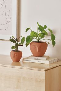vaso ceramica