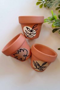 Terracotta Pots Planters