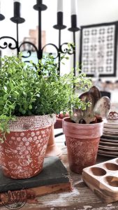 diy-painted-terracotta-pots-for-rustic-indoor-home-decor-7