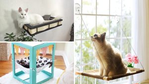 5 ideias criativas DIY de cama suspensa para gatos que são um mimo para seu pet