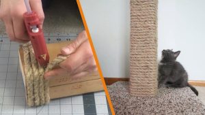 arranhador caseiro para gatos