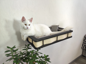 cama suspensa de parede para gatos