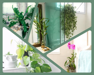 plantas no box do banheiro