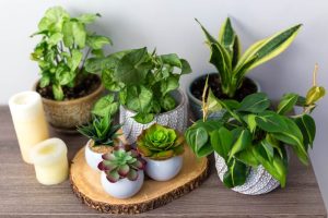 decoracao-com-plantas-artificiais-1
