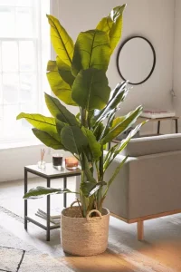 decoracao-plantas-artificiais-009