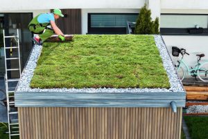 profissional instalando telhado verde