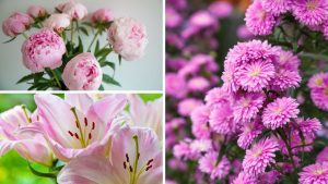 7 flores rosas que vão mudar a forma como você vê seu jardim
