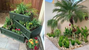Jardim simples e barato é possível seguindo estas 5 dicas de mestre