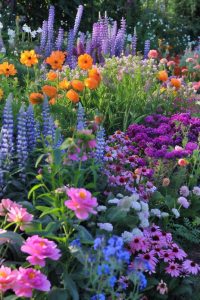 tendências para jardim 2025 flores silvestres