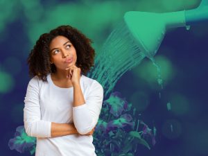 Como Saber a Frequência Certa de Rega