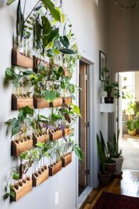 jardim vertical cultivado em água em corredor