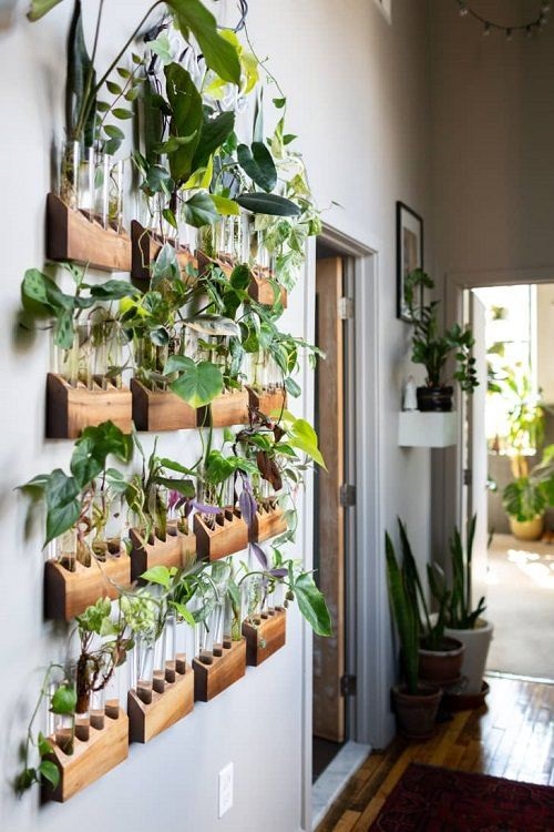 jardim vertical cultivado em água em corredor