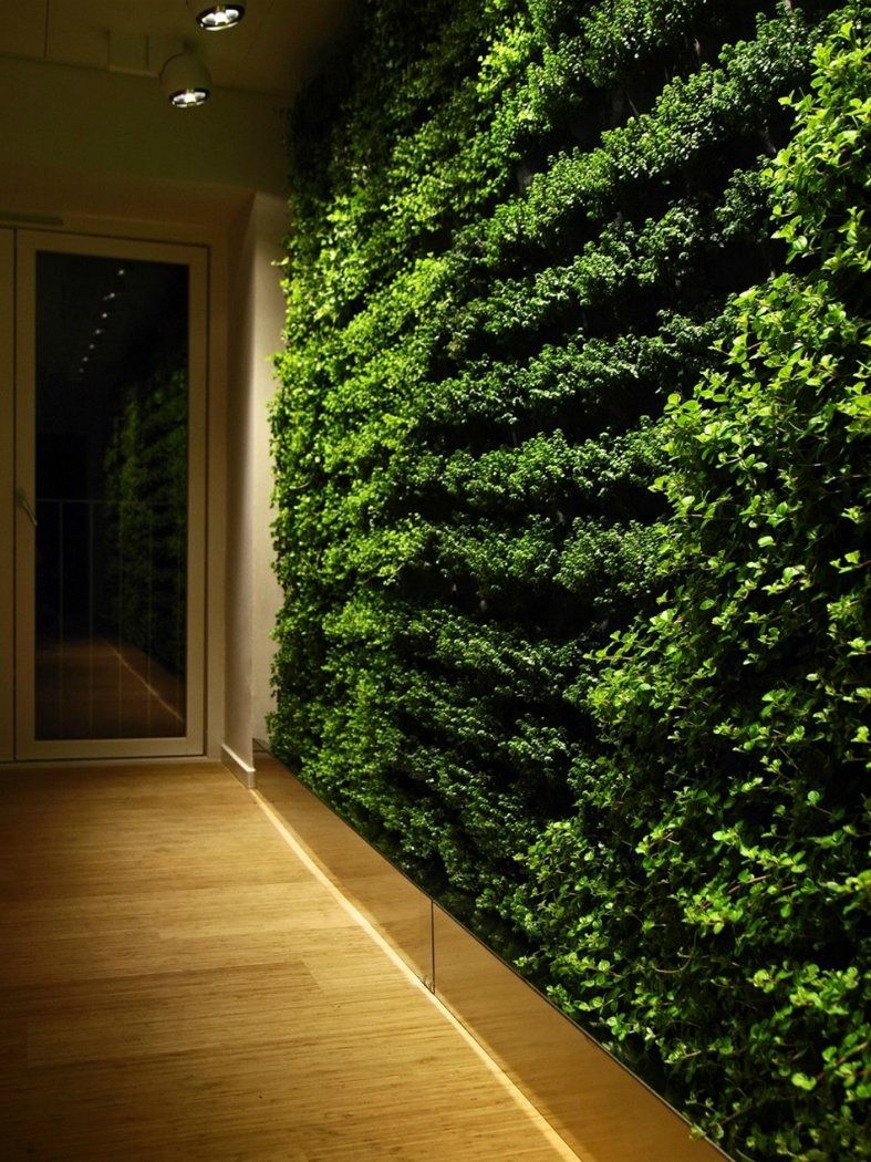 parede de corredor com jardim vertical