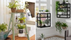conceito de upcycling com plantas na sala