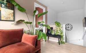 Sala de estar com plantas itens básicos